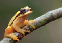 Parkside becomes carbon balanced