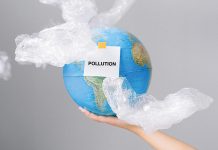 Eco practices to be published in upcoming CFA Sustainability Guide