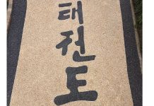 Profilpas pays tribute to Taekwondo